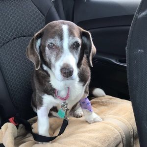 Meet your Posher, Olivia